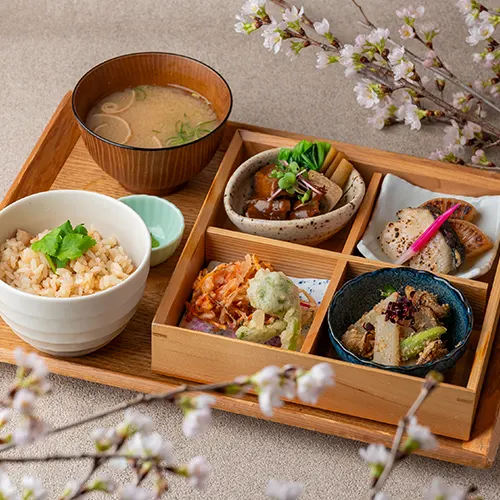 Hannari Kyoto Set